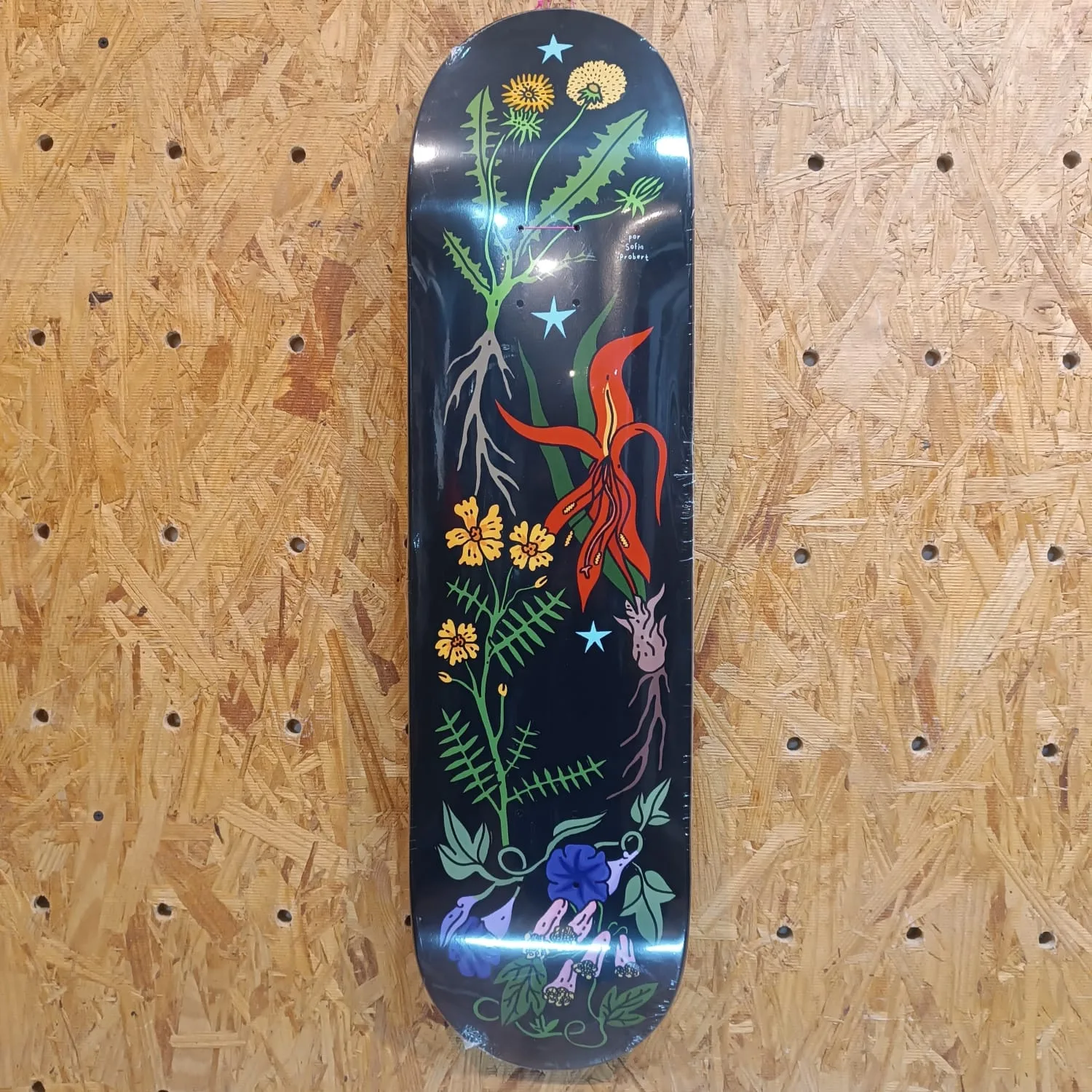 COPAL FLORES X SOFIA PROBERT  8.3"