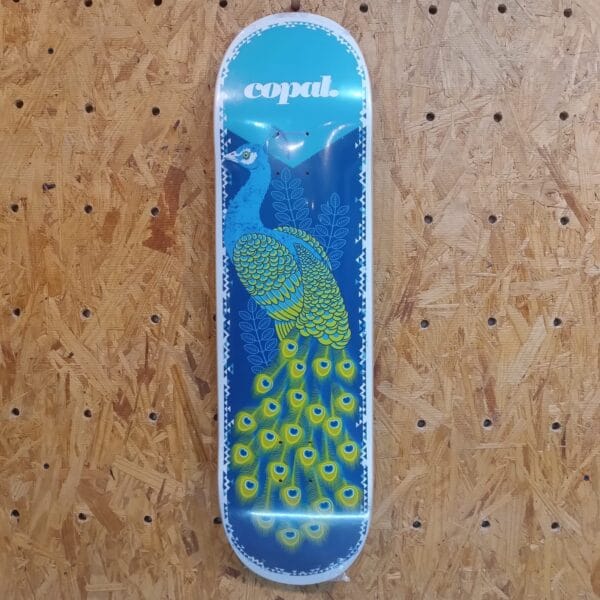 COPAL PAVO REAL TURQUEZA. 8.6"