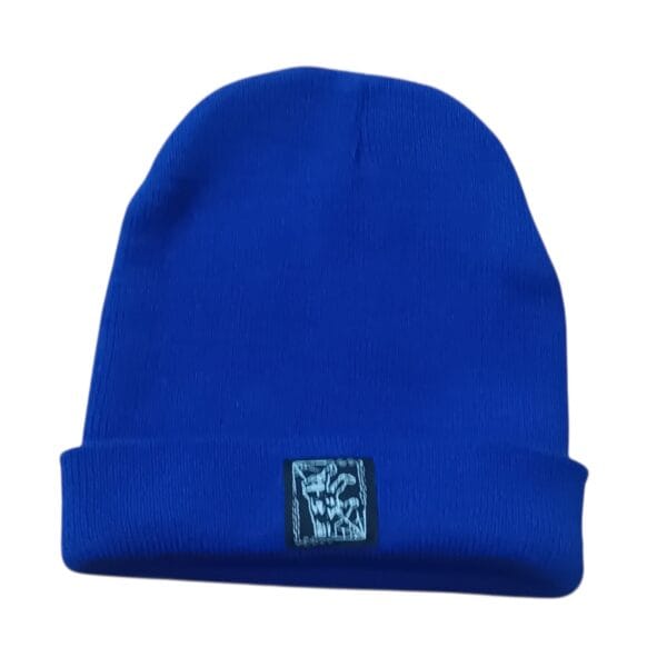 CRAMP BEANIE PARCHE 21 AZUL REY