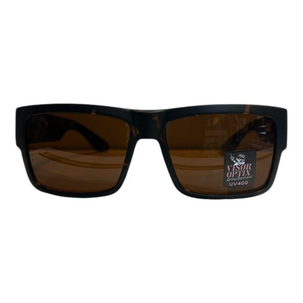 VISOR GAFAS BREJCHA CAREY